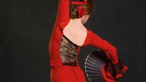 Diario de Cuyo | flamenco_crop1504412355954 464x728.webp