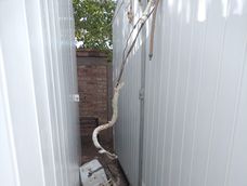 Rawson: frustran robo en una escuela; los detenidos, de 18 y 20 años Rawson: frustran robo en una escuela; los detenidos, de 18 y 20 años