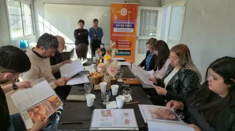 Diario de Cuyo | Ayer, un jurado integrado por representantes de distintos ámbitos de Ullum, eligió a la primera y segunda Emprendedora del Sol del departamento.