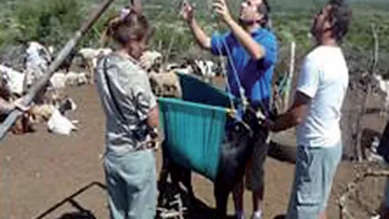 Desarrollan clúster caprino entre San Luis, San Juan y Mendoza