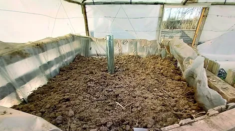 Distintas formas de calefacción de invernaderos en San Juan