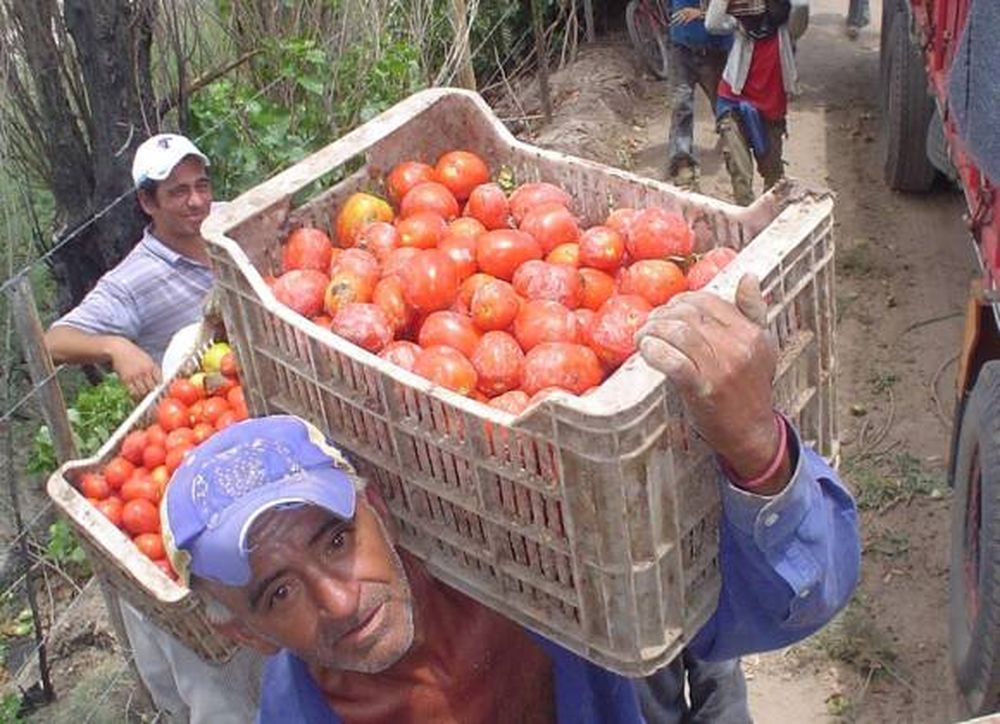 Créditos solidarios para pequeños emprendedores