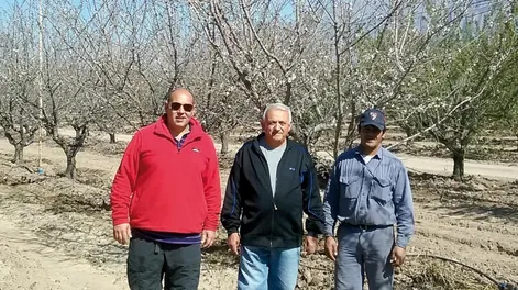 Experimentan un nuevo sistema de defensa contra heladas en almendros