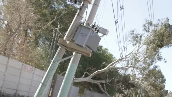 El listado de recomendaciones a tener en cuenta para evitar accidentes durante el viento