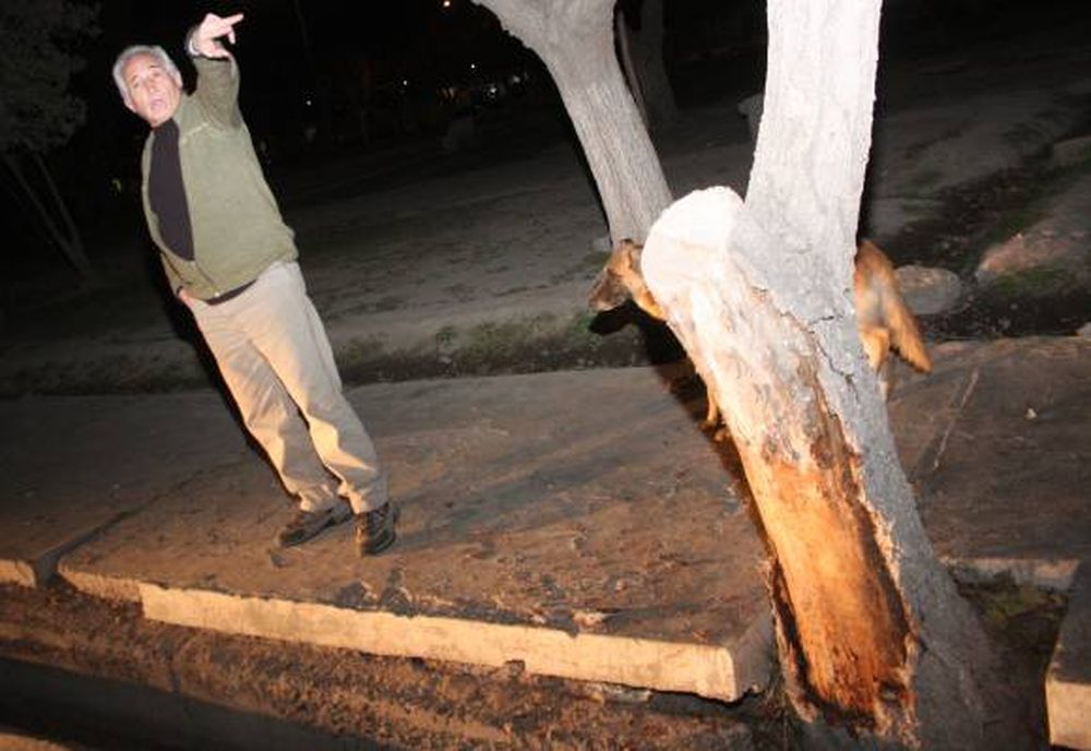 Chocó, murió y la moto en la que viajaba desapareció