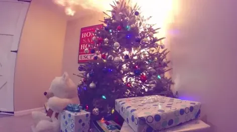 [VIDEO] Así de rápido arde un árbol de Navidad natural si no se moja adecuadamente