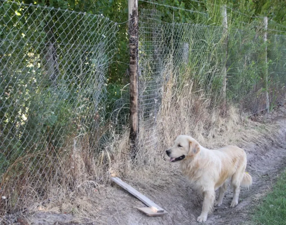 Abogado abandona su casa luego de que una banda asaltara a su familia