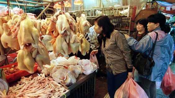 China detectó el primer caso de gripe aviar H10N3 en humanos