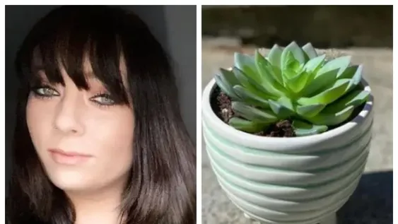 Cuidó una planta durante años y cuando le cambió la maceta se llevó una gran sorpresa