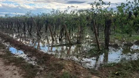 Daños por las tormentas en la producción