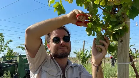 Comenzó la vendimia 2023 en empresa familiar de San Juan