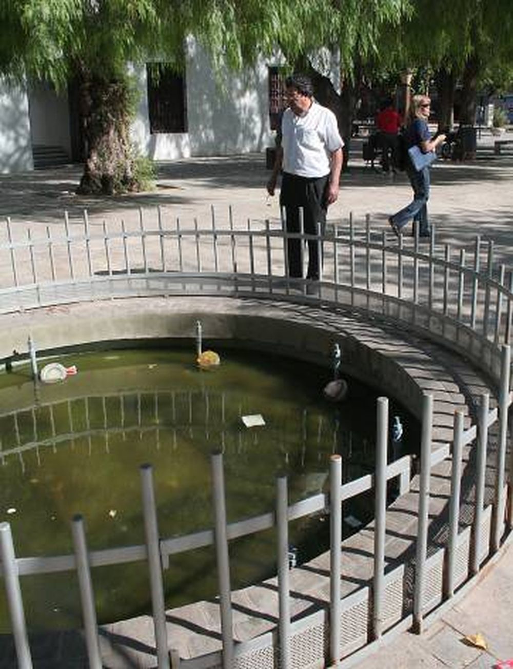 Peatonal Maestro de América: Un dinosaurio en lugar de la fuente