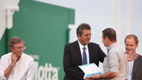 Ayuda a productores porcinos, aviares y huevos