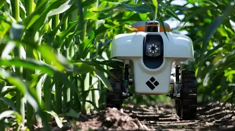 Diario de Cuyo | f1p6verde_crop1697853055542 728x547.webp