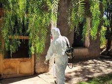 En Calingasta comenzaron los operativos barriales de fumigación para eliminar las garrapatas. En Calingasta comenzaron los operativos barriales de fumigación para eliminar las garrapatas.