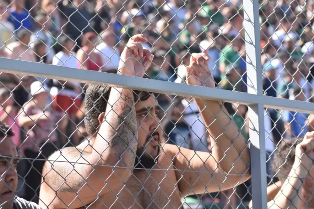 El dolor de los hinchas por el descenso de San Martín, en fotos