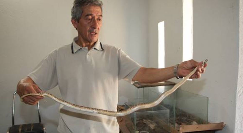 Faunístico: 19% más de animales desde el cierre