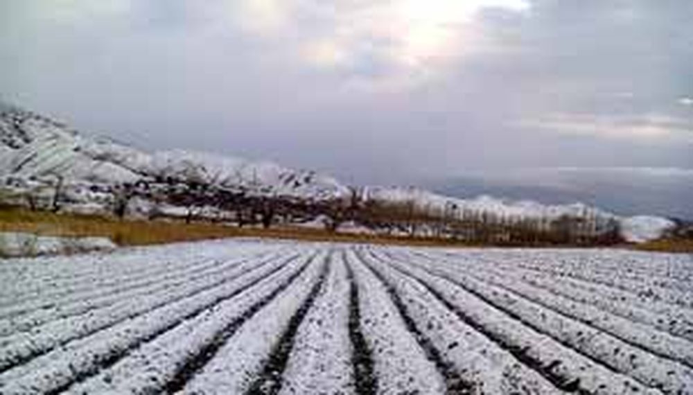 Nevó en Valle Fértil e Iglesia
