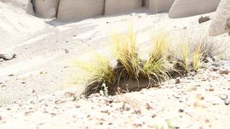 Para promover un sitio turístico cerrado, van por la expropiación