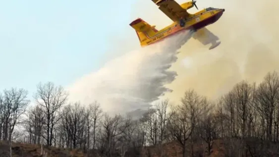 Estudiantes deberán pagar una multa millonaria por un asado que incendió mil hectáreas
