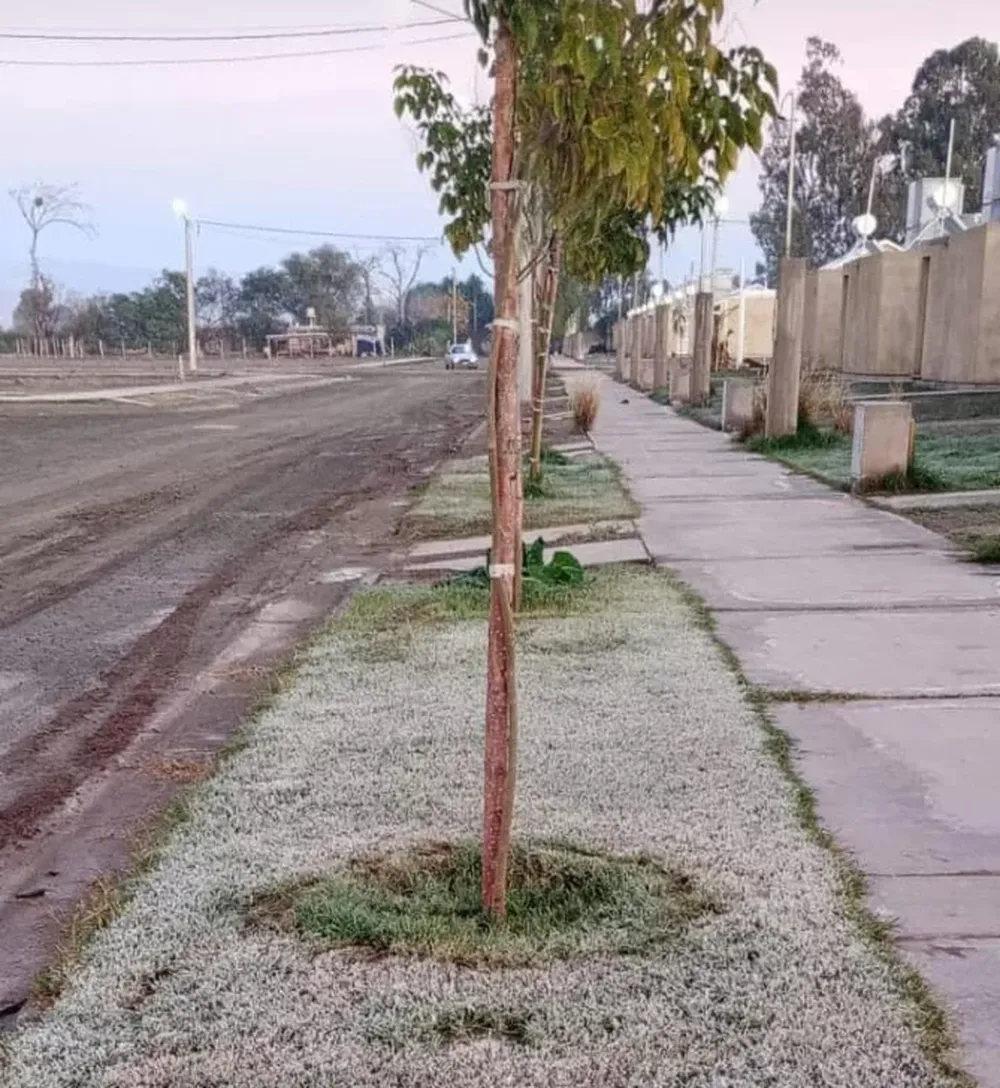 Primeras heladas de la temporada