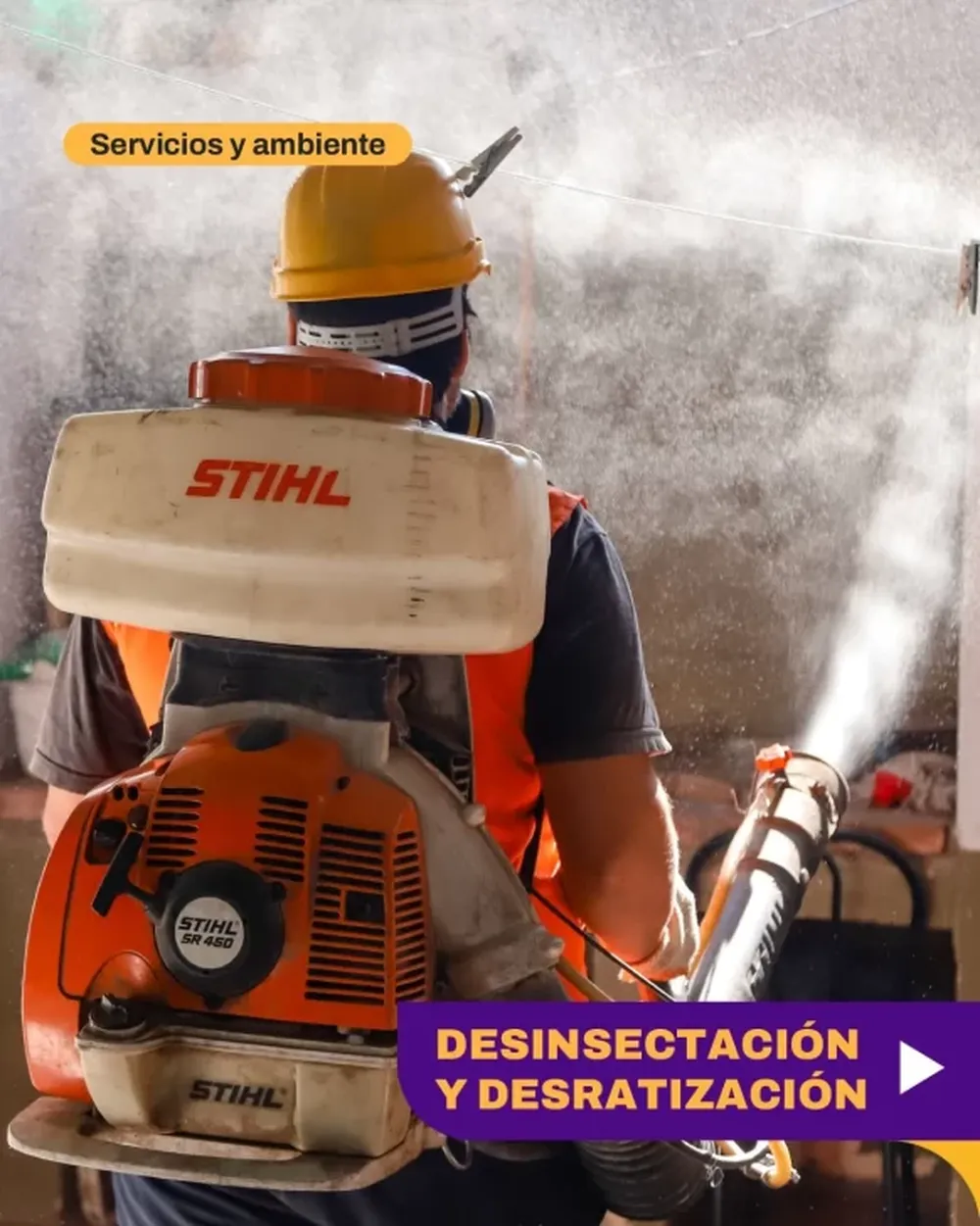 Desinsectación, desratización y educación ambiental en la Ciudad