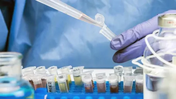 Un nuevo fármaco oral logra suprimir “por completo” la transmisión del Covid-19