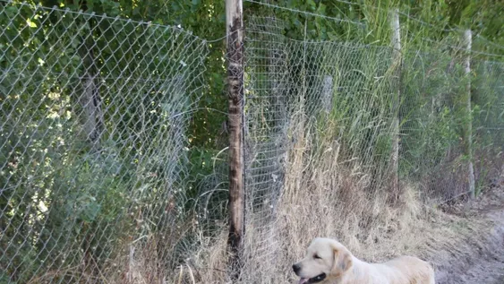 Abogado abandona su casa luego de que una banda asaltara a su familia
