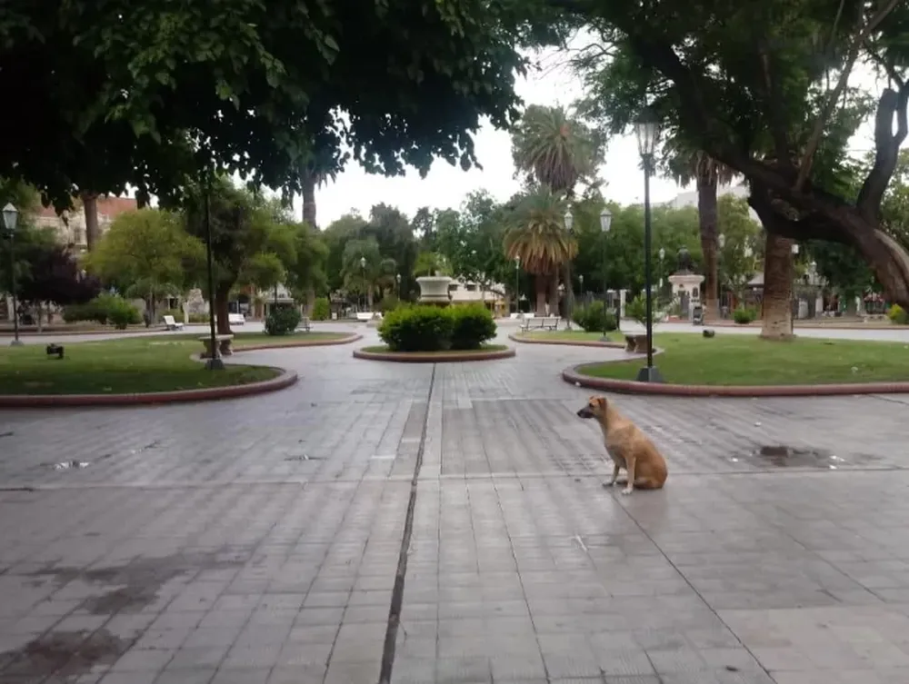 Se instala el otoño: viernes con lloviznas y máxima de 20 grados en San Juan