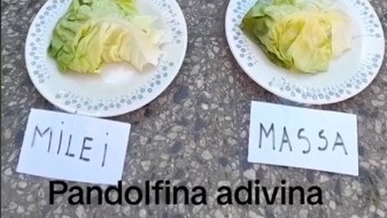 La Tortuga y su primera experiencia en línea