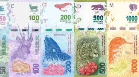 Los personajes que analiza el Gobierno para reemplazar a los animales en los billetes