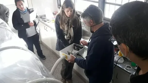 Diseñan un túnel sanitizante anti Covid-19 para que funcione al regreso de las clases