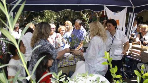 Regalaron plantines en la Peatonal