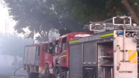 Se le incendió un corral y murieron 10 cerdos