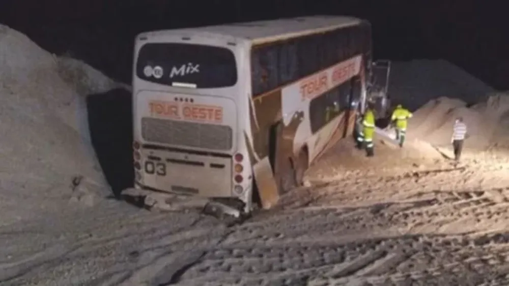 Dos argentinos murieron cuando despistó un micro en un ruta brasilera