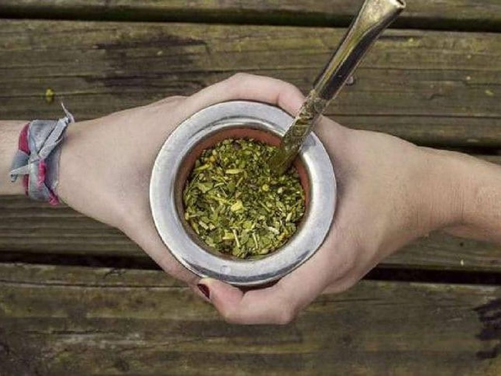 Mate, té o café: cuáles son los beneficios para la salud de estas infusiones