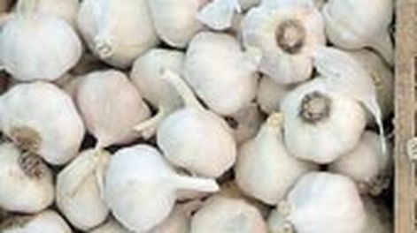 Ajo: Nuevo año, otras esperanzas y los consejos de un especialista