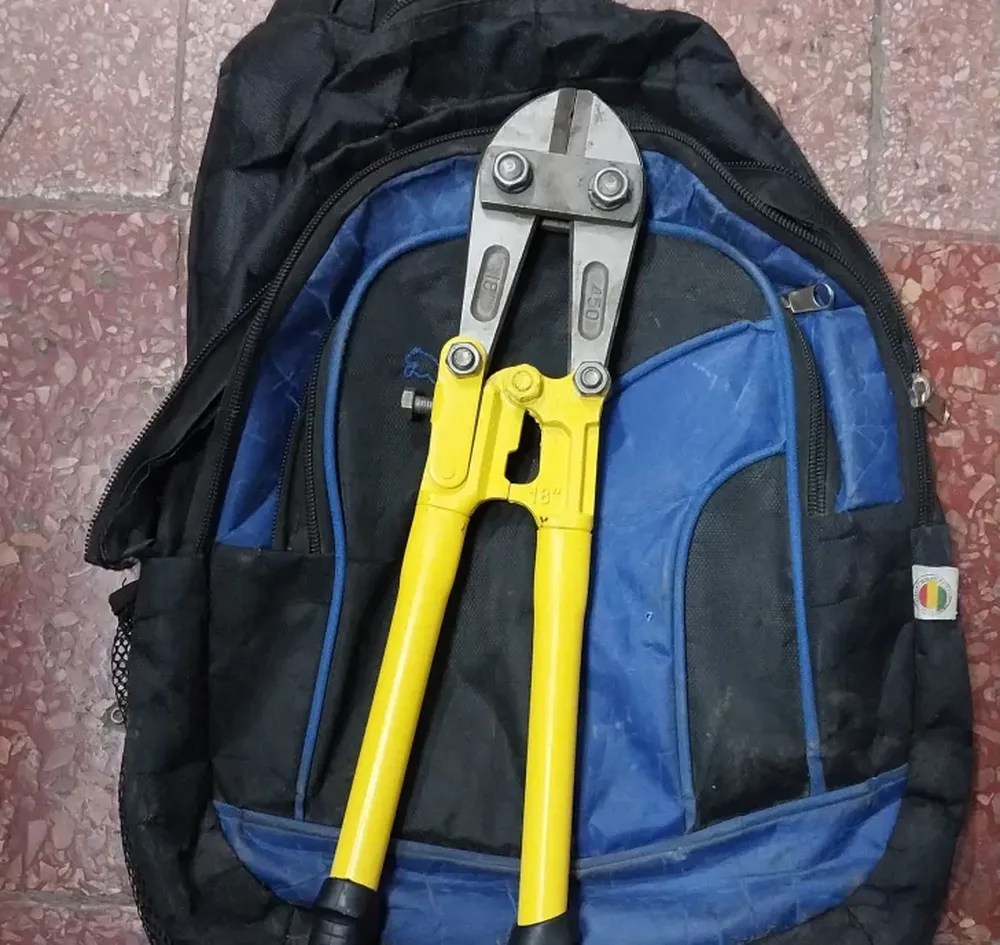 Se robaron una bicicleta de la Facultad de Ingeniería y los atraparon