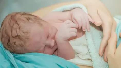 Cuánto disminuyó la tasa de natalidad en Argentina