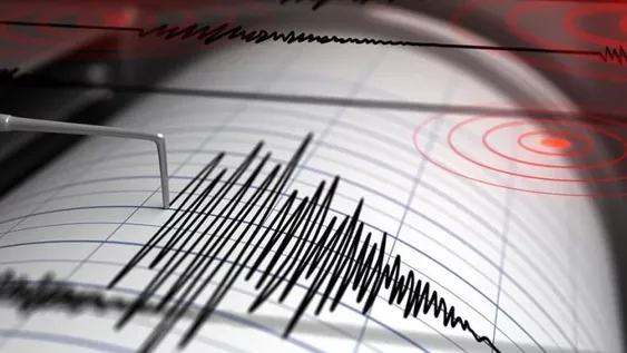 Fuerte temblor en la Región de Coquimbo también se sintió en San Juan