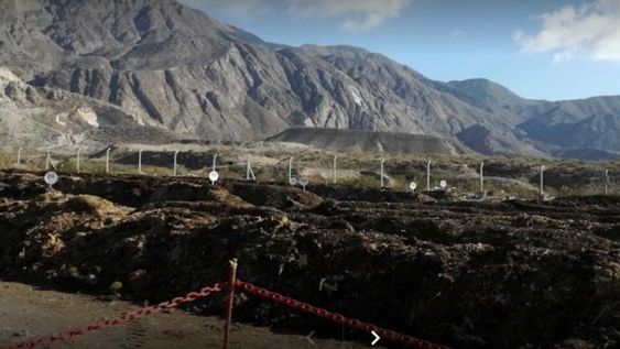 Aseguran que la jauría que mató al hombre estaba compuesta por “entre 10 y 15 perros”