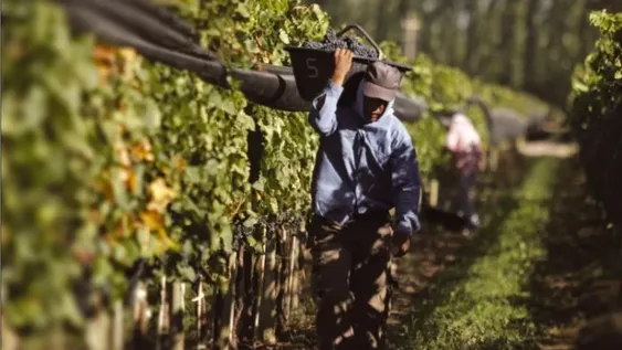 El sector acumula décadas de baja en la demanda y necesita hacer cambios estratégicos. Uno podría ser la reconversión.