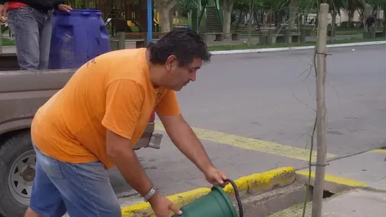 Olmo, el sanjuanino que en 39 años plantó 10.628 árboles