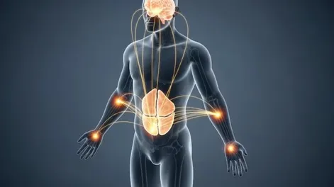Cómo el cerebro puede ayudar a eliminar la grasa que no se pierde con dieta ni ejercicio