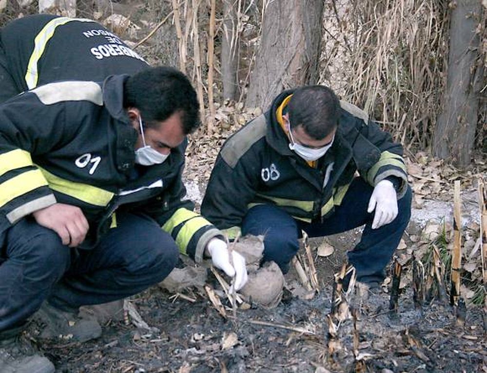 Encontraron un cráneo humano