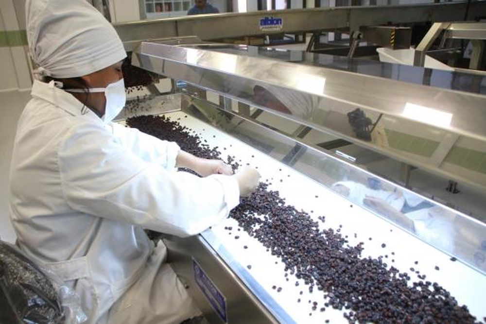 Paseros esperan con stock una mejora de precios para exportar