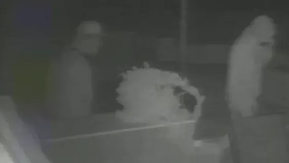 Le dan casi tres años de cárcel a reincidente que sustrajo dos bicicletas de una casa