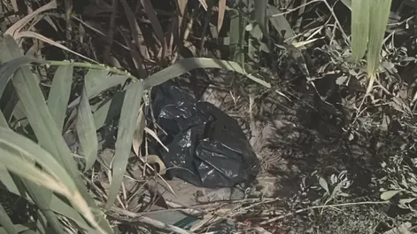 La autopsia confirmó que la beba de Caucete nació con vida y murió asfixiada