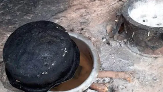 Sequía en Kenia: muerte de 205 elefantes y otros 1.030 animales salvajes