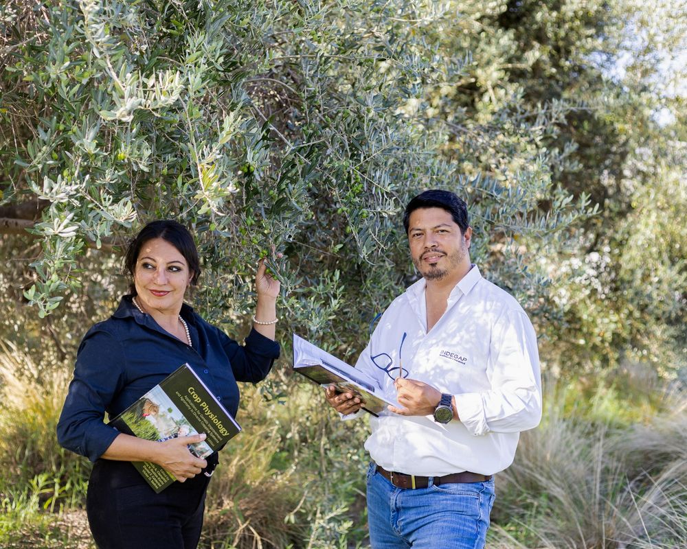 Francisco González y Rosario Paz trabajaron juntos para la investigación que aparece en un libro que describe los efectos de heladas en frutales.&nbsp;